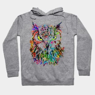 Colorful Owl - Owlet Beautiful Eyes Hoodie